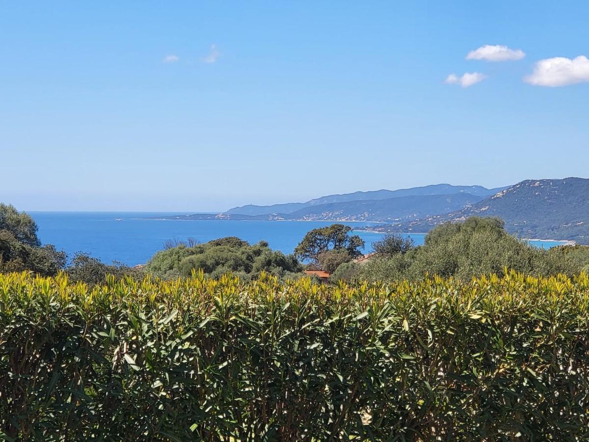 T2 Propriano Vue Mer, Neuf, Climatise Et Classe 3 Etoiles Apartment *